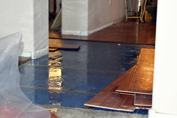 Professional Water Damage Restoration technician working in Milton, NH